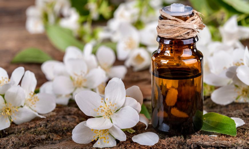 Jasmine scent and Fragrance helps with sleep and relaxation